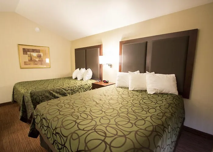 Econo Motel 2*